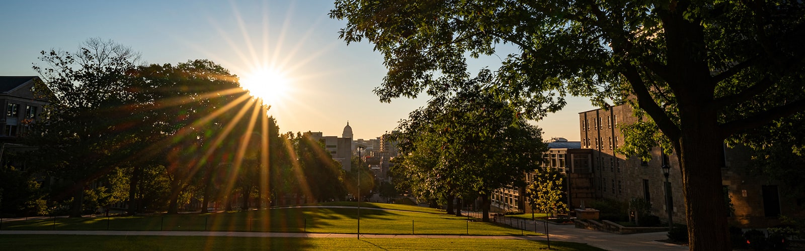 Sunrise beaming over Wisconsin State Capitol Building in distance and a treelined Bascom Hill in foreground.